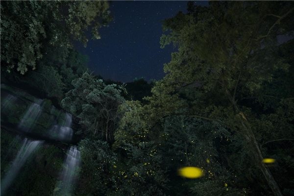 森林秘境，瀑布萤光：探秘成都天台山