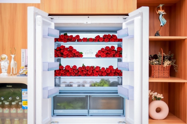 594mm！海尔冰箱618提供行业最专业超薄零嵌冰箱