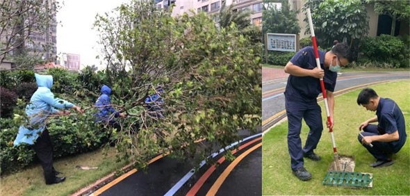 风雨同舟，金融街第一太平戴维斯物业防汛抗灾展担当 