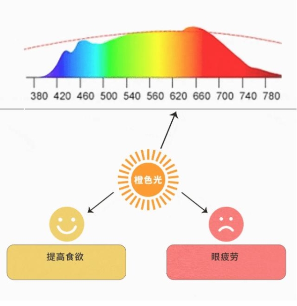 智谋纪 AI Multi LED 打开人类健康新宝藏