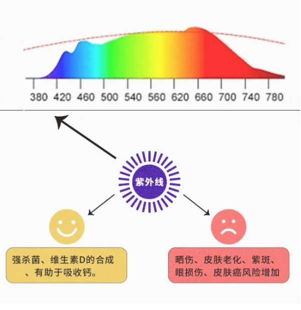 智谋纪 AI Multi LED 打开人类健康新宝藏