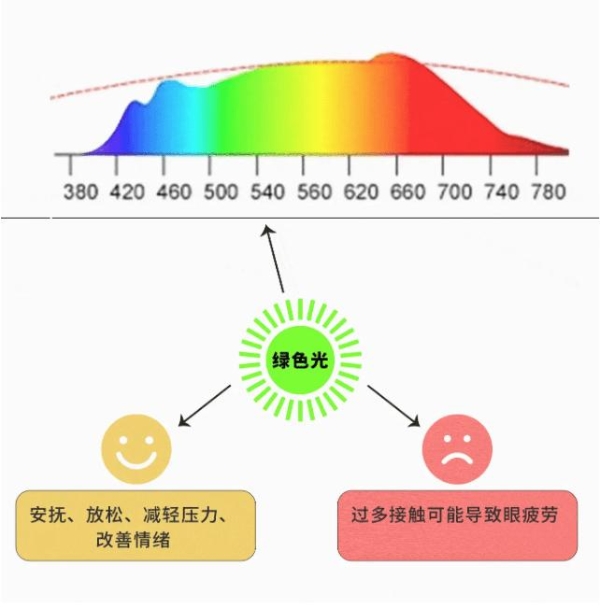 智谋纪 AI Multi LED 打开人类健康新宝藏