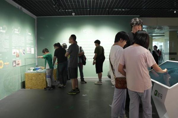  中国地质博物馆携手斑马 共同解锁少儿科普互动新体验