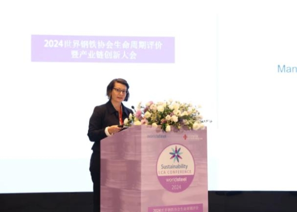 2024（首届）世界钢铁协会生命周期评价暨产业链协同创新发展大会召开