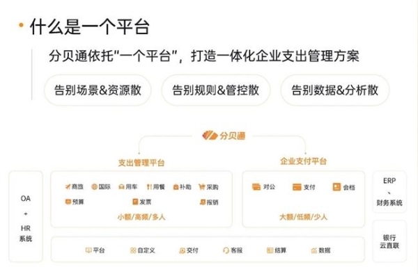 分贝通——企业支出管理的全流程管控专家