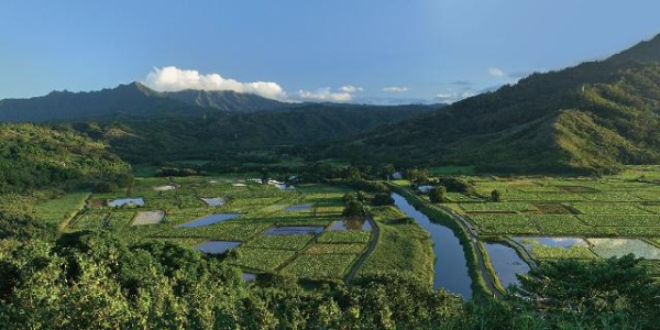 吉香居立足长远，以产业升级赢未来市场