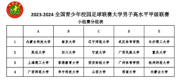 绿茵场上的夏日激情，中国青少年校园足球联赛大学男子高水平组甲级联赛盛大开幕