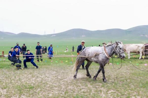  清凉盛夏 火热对决 2024年蒙古马超级联赛总决赛激情开赛 