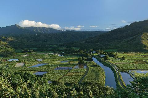 吉香居立足长远，以产业升级赢未来市场