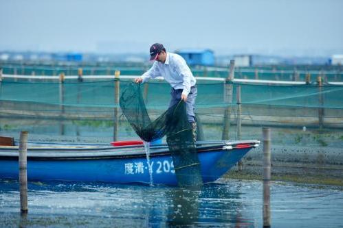  阳澄精灵以创新养殖模式，引领大闸蟹市场潮流