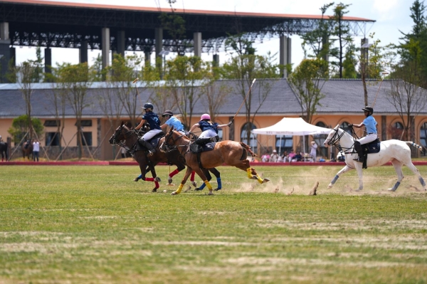  青天杯·Pacific Cup全球大学马球慈善赛在武隆仙女山完美落幕