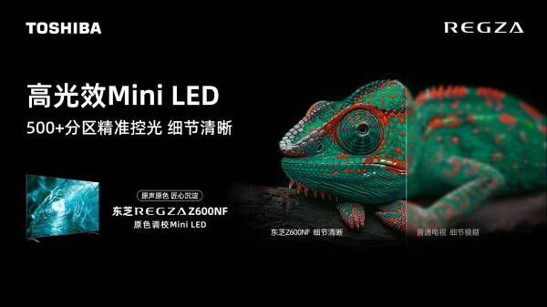 行业唯一原色调校Mini LED,东芝电视新品Z600NF正式开售