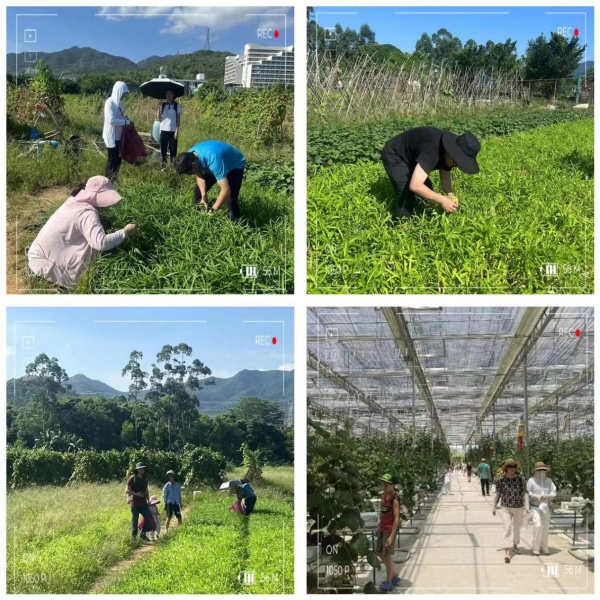 温暖相伴，共赴南澳环岛之约 ——海保人寿深圳分公司举办第一期客户服务节活动