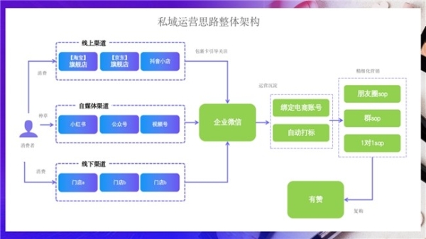 从0到10亿，国货彩妆新品牌数字增长策略全解析 |慧博科技精选案例