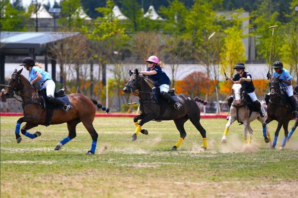  青天杯·Pacific Cup全球大学马球慈善赛在武隆仙女山完美落幕