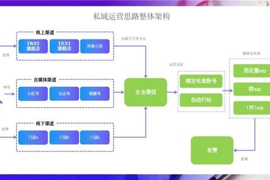 从0到10亿，国货彩妆新品牌数字增长策略全解析 |慧博科技精选案例