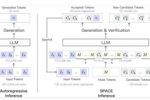 云天励飞论文入选ACL24：SPACE引擎引领大模型推理无损加速时代