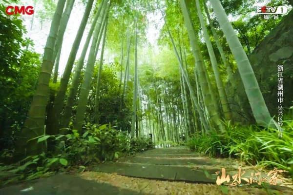 西塞山前，彩云之南，与《山水间的家》共赴诗意乡村！