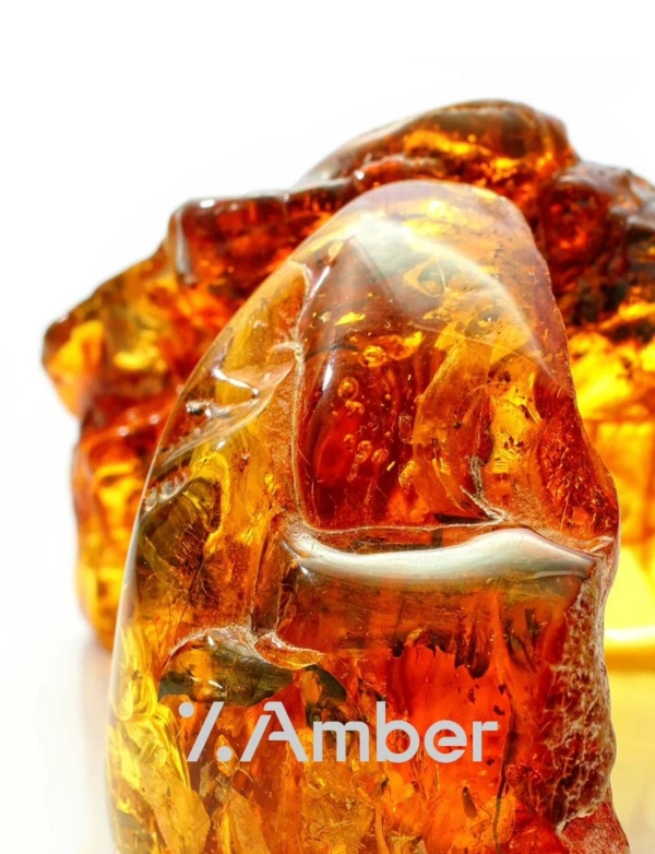 %Amber：9000万年的等待 只为此刻的相遇