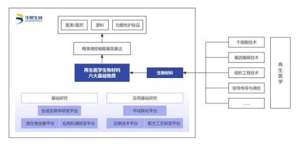 华熙生物震撼发布：细胞精准调控技术，开启再生医学护肤科技新纪元！