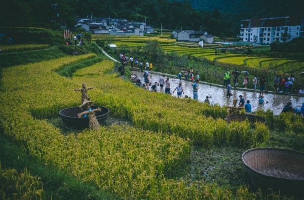  旅居彩云南丨腾冲“玛御谷稻花鱼节”即将举办 开创康养旅居新玩法