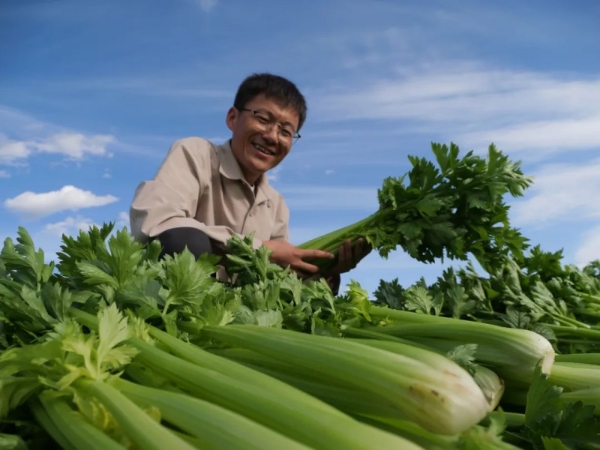  在西海固，看见新农人的自我生长与更新