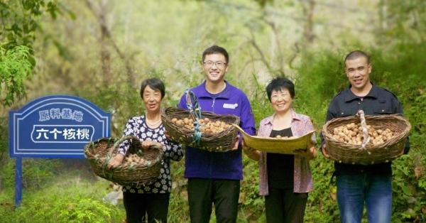  六个核桃为健康早餐助力，开启智慧生活