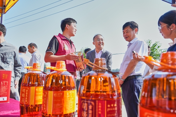 胡姬花全球花生产业研究院项目科研落地：古法技艺传承赋能种质安全良种，助力花生产业高质量发展！