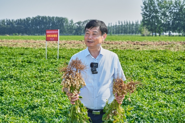 胡姬花全球花生产业研究院项目科研落地：古法技艺传承赋能种质安全良种，助力花生产业高质量发展！