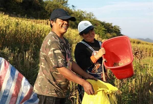  乡村振兴：倾情牵手黄泥河 济民可信惠三农