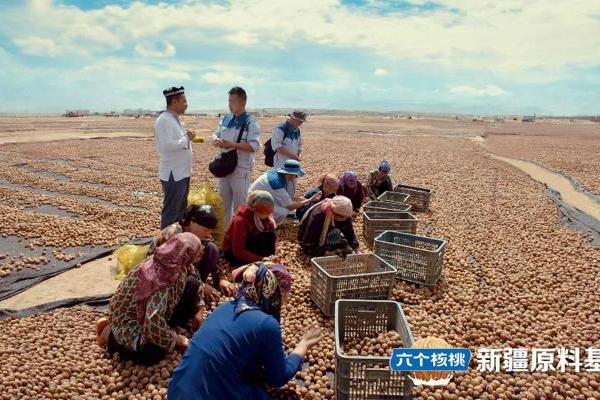  核桃采购量全国第一！六个核桃获国际权威机构认证！