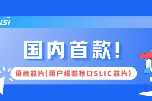 国内首款！赛思语音芯片（SLIC芯片）重磅发布，引爆1300亿+FTTR改造市场需求！