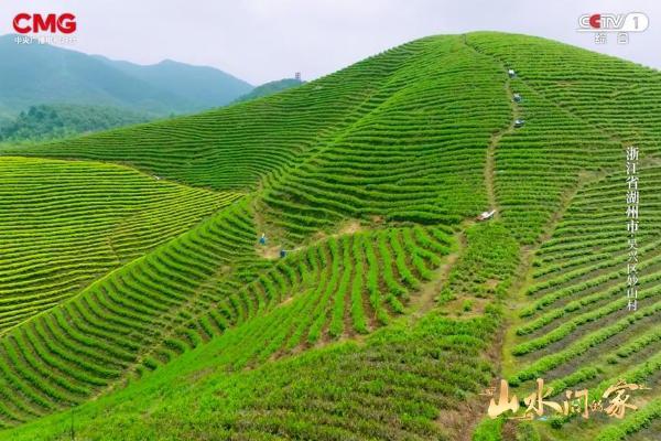 西塞山前，彩云之南，与《山水间的家》共赴诗意乡村！