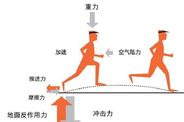  平时如何挑选跑步机？舒华跑步机减震系统获中国体育科学学会专家认可