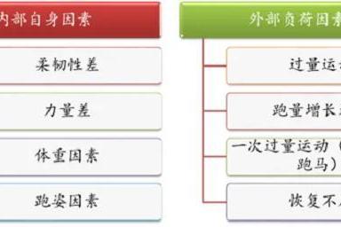  平时如何挑选跑步机？舒华跑步机减震系统获中国体育科学学会专家认可