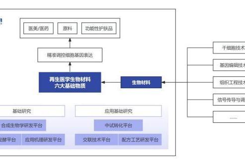 华熙生物震撼发布：细胞精准调控技术，开启再生医学护肤科技新纪元！