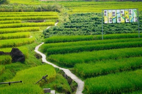  旅居彩云南丨腾冲“玛御谷稻花鱼节”即将举办 开创康养旅居新玩法