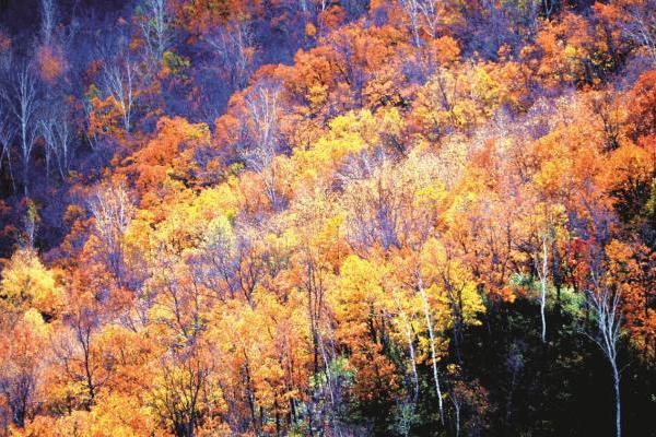 深入长白秘境 探秘极致山水 《中国国家地理》最美边境公路331国道吉林段考察启动