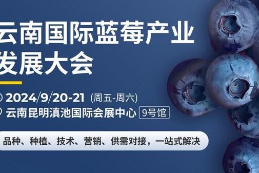 行业精英共话发展机遇 云南国际蓝莓产业发展大会将于9月举行