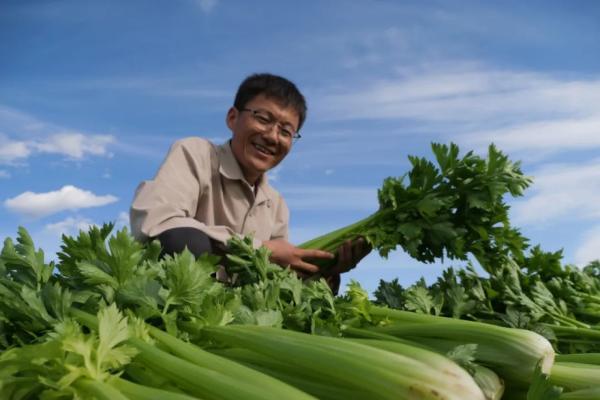  在西海固，看见新农人的自我生长与更新