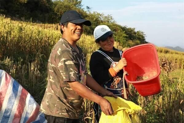  乡村振兴：倾情牵手黄泥河 济民可信惠三农