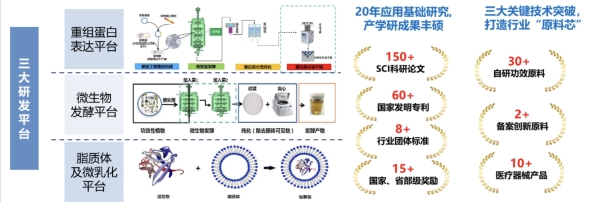  重磅！中国发明专利授权丨肽源生物重组胶原研究成果