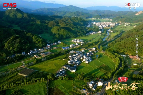 花生丰收，白鹭翩跹，《山水间的家》邀您赴绿色乡村，赏生态画卷！