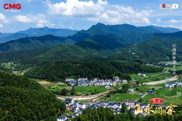 花生丰收，白鹭翩跹，《山水间的家》邀您赴绿色乡村，赏生态画卷！