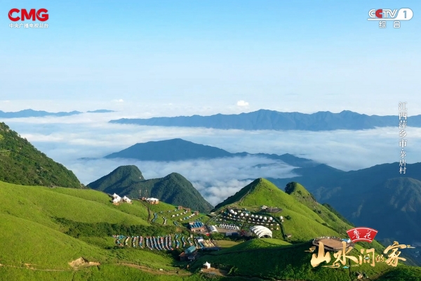 花生丰收，白鹭翩跹，《山水间的家》邀您赴绿色乡村，赏生态画卷！