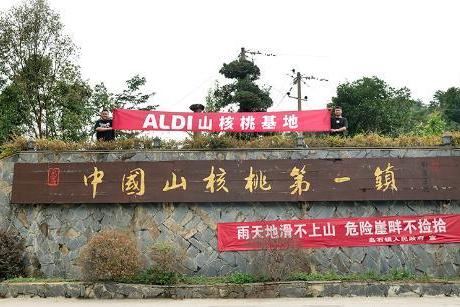  ALDI奥乐齐推当季头茬山核桃：主打临安自有黄金产区，小包装也低价