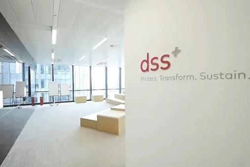  dss+谢荣军：咨询公司需要从提供建议转变到建议的实施和落地