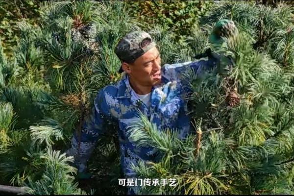 22年坚守，来伊份核桃节：产业联动，共筑健康坚果新篇章