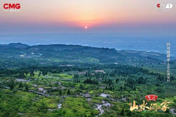 青山“榄”梦助文旅融合，茶叶天麻倡健康理念，《山水间的家》于绿水青山画生态未来！