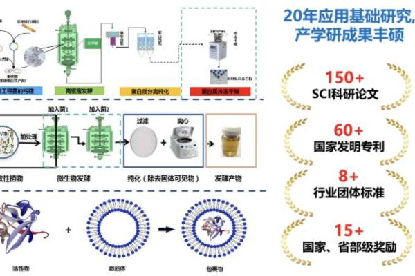  重磅！中国发明专利授权丨肽源生物重组胶原研究成果